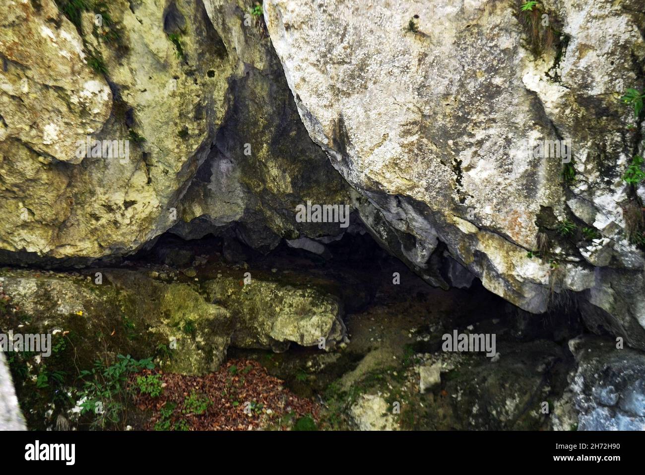 Massive rocks inside and outside the Polovragi cave in Oltetului Gorges. Polovragi Cave is located in Căpățânii Mountains, on the bank of Olteț, Stock Photo