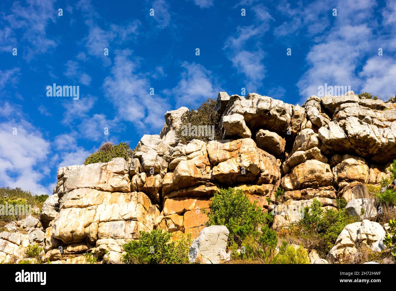 Rugged mountain landscape with fynbos scrub bush flora in Cape Town South Africa Stock Photo