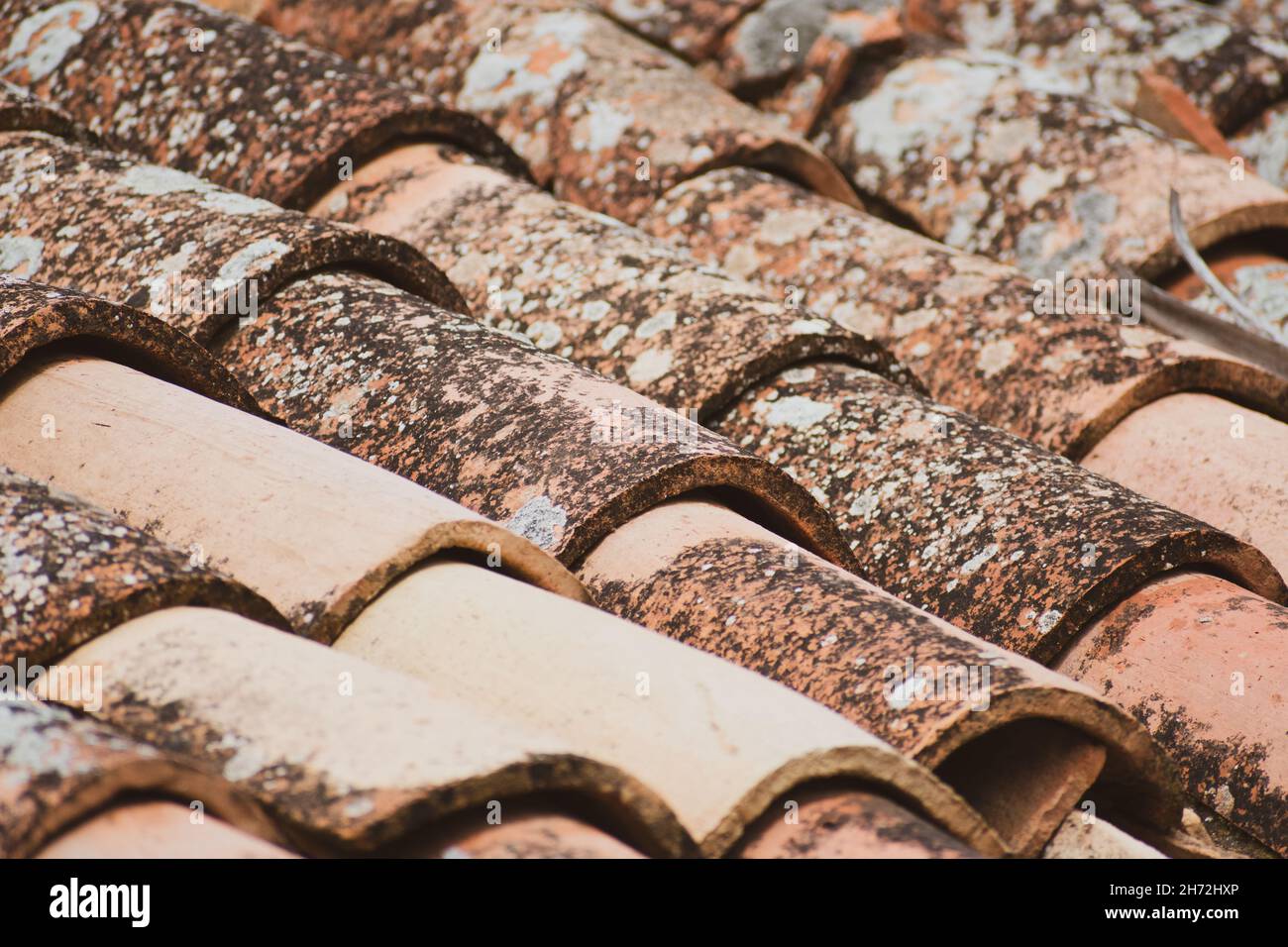 Closeup shot of an old mould tile roof Stock Photo