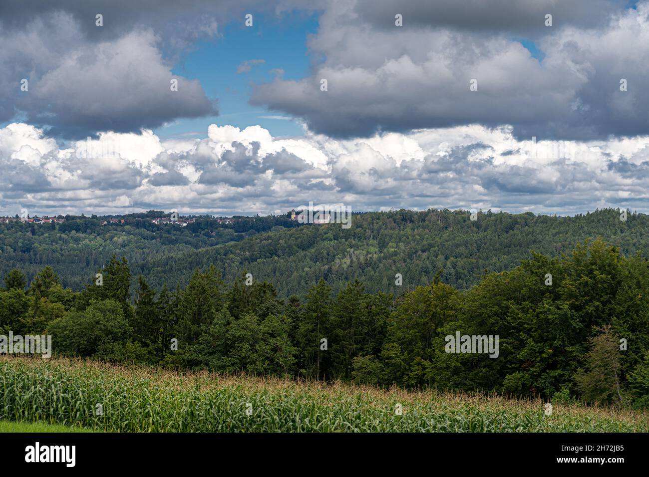 Small village on a hill in the middle of the forest and a field of corn Stock Photo