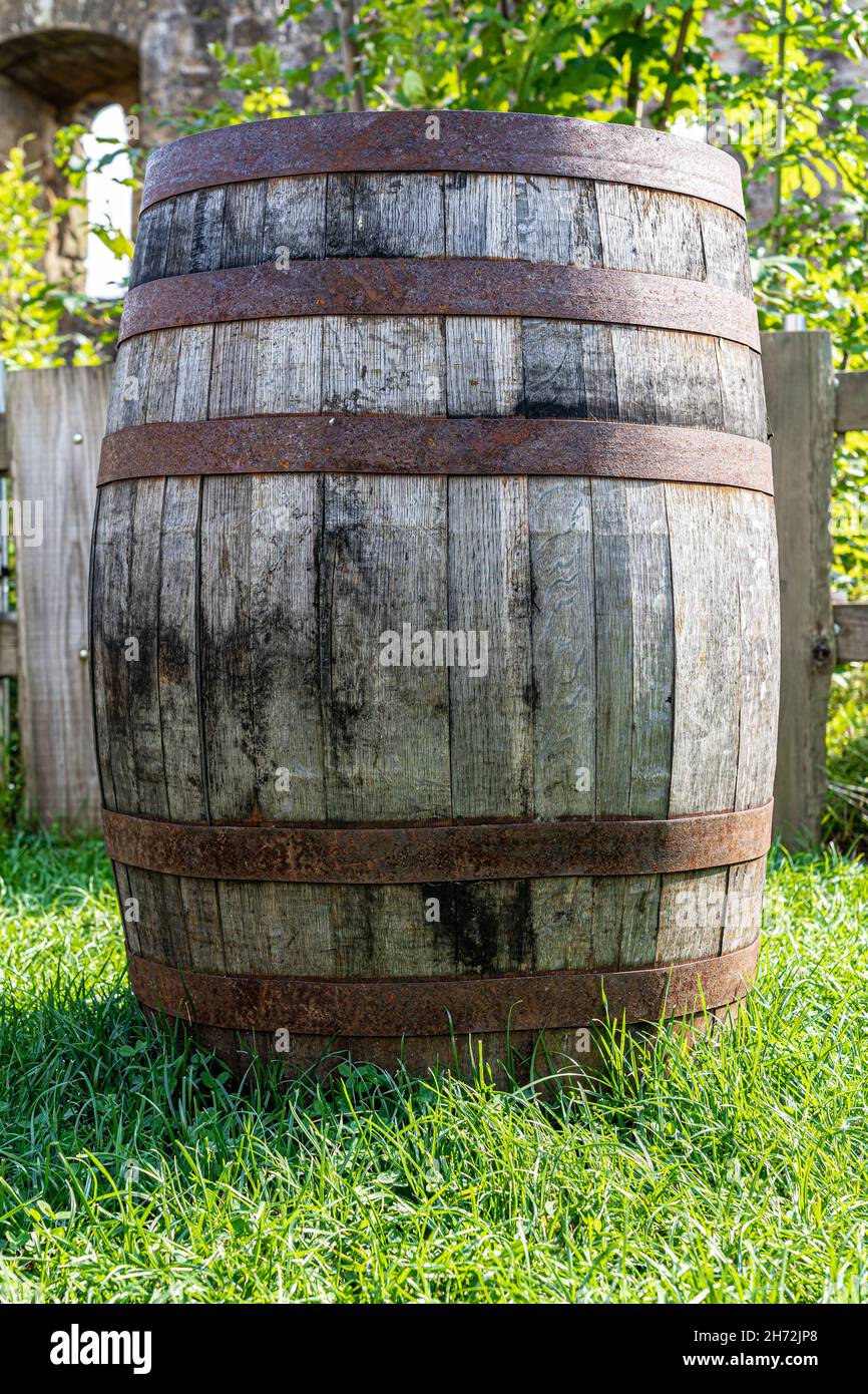 Big wooden wine cask with rusted barrel hoops on the green grass Stock Photo