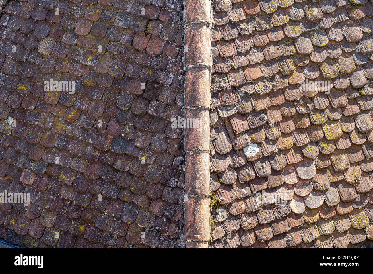 Roof of one of the towers of the castle Stock Photo