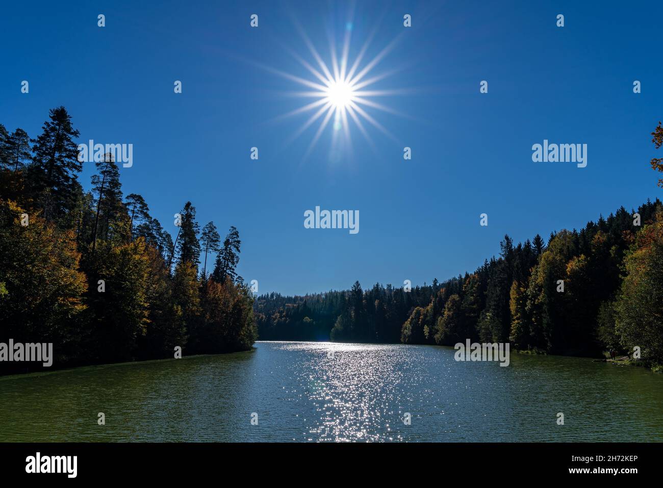 Autumn forest with colorful leaves near the lake and the sun in shape of a star Stock Photo