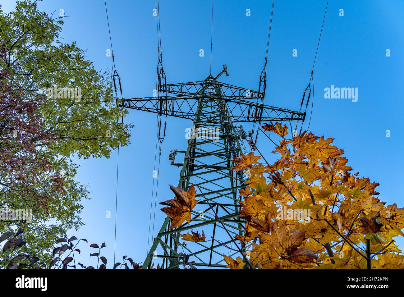 High electricity pylon near trees with golden leaves Stock Photo