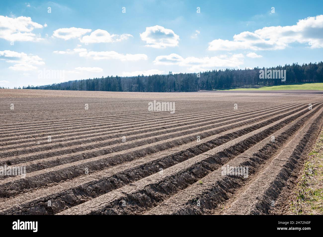 Big brown fields of fertile soil and green forest in the background Stock Photo