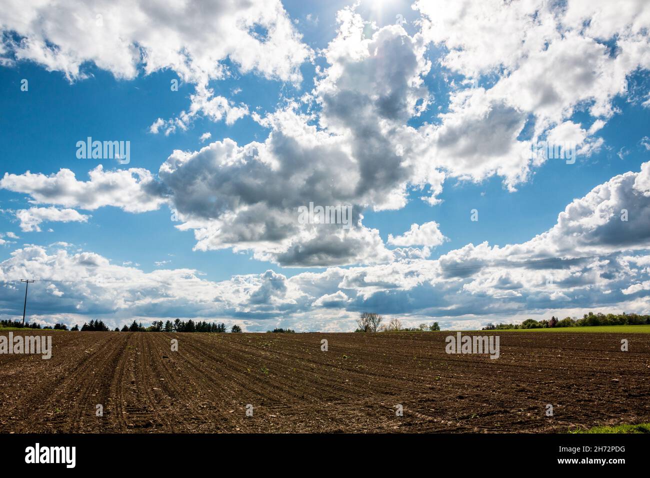 Big brown fields of fertile soil and the blue sky with white clouds Stock Photo