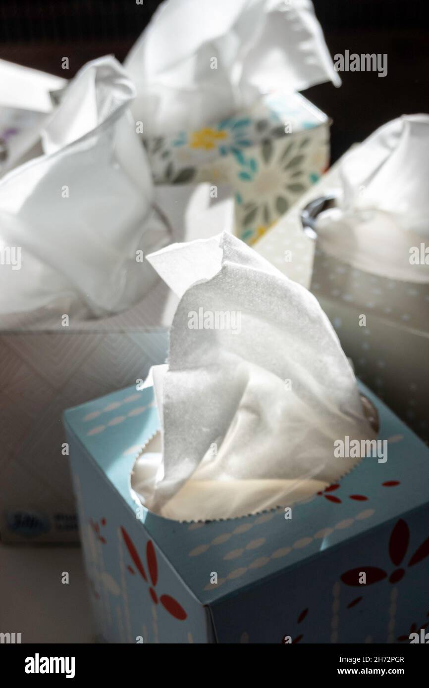 Close-up of facial tissue boxes, USA Stock Photo