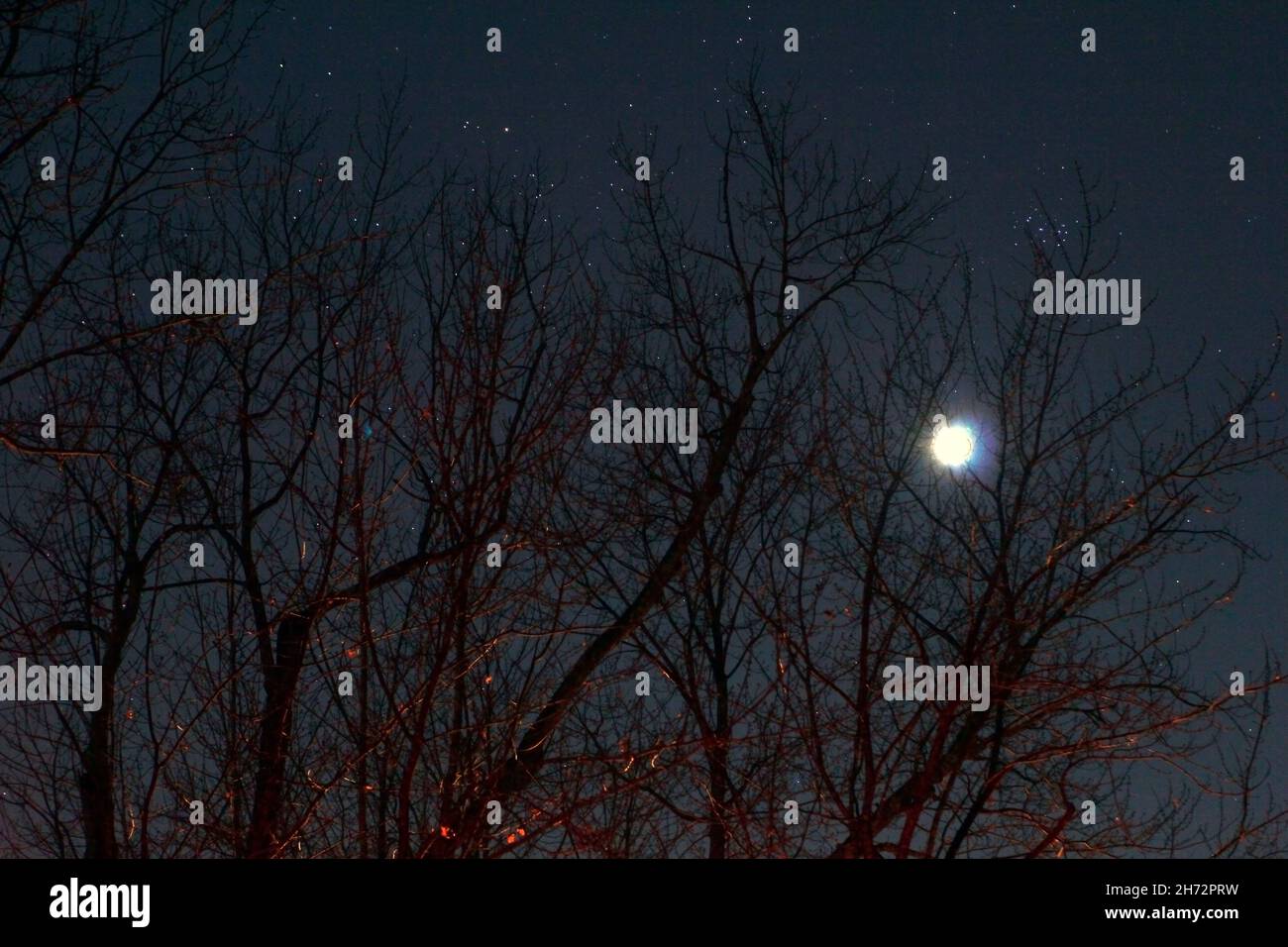 Partial Lunar Eclipse of November 19, 2021 Stock Photo