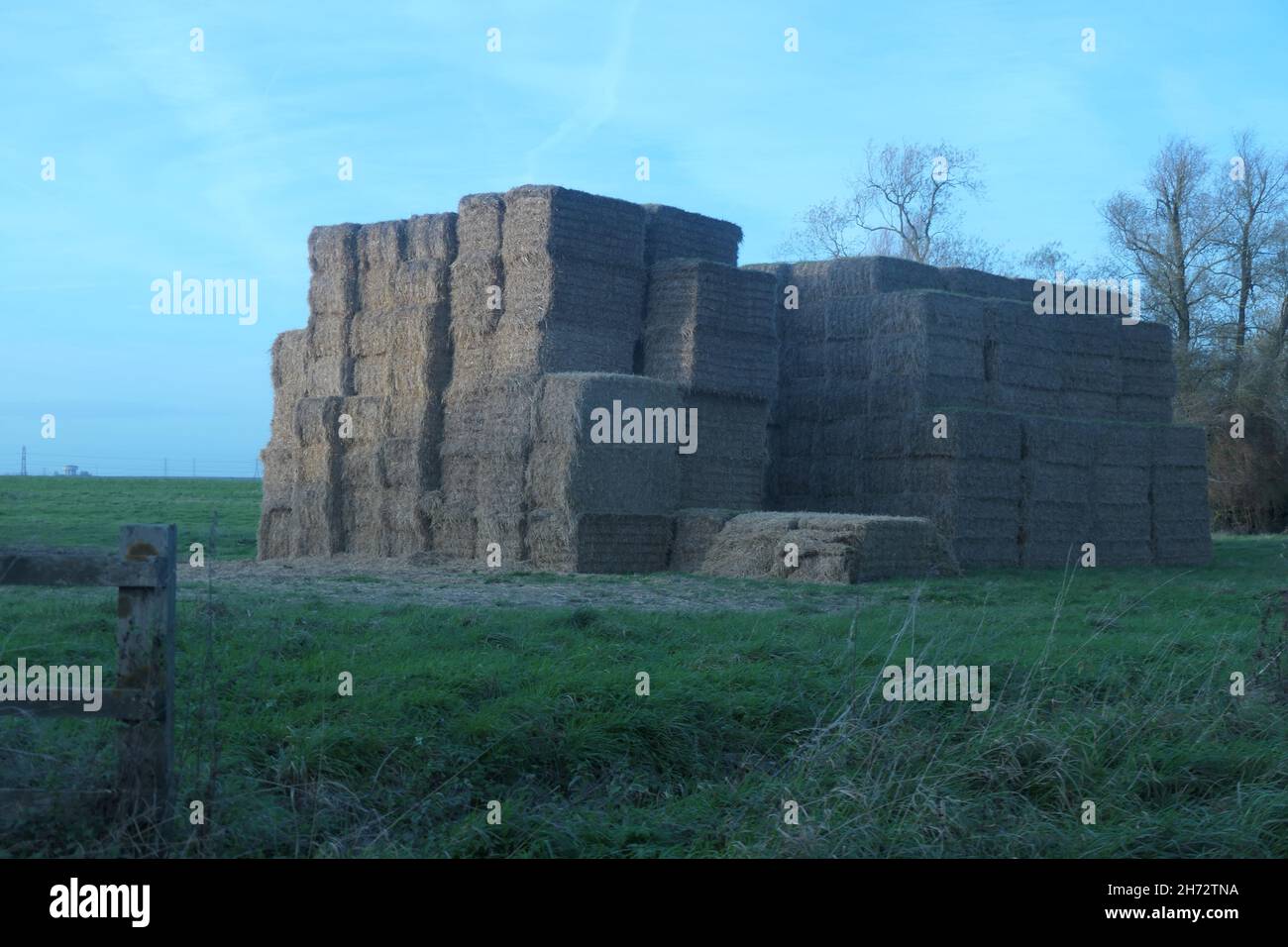 Hay stack in a field Northamptonshire or bails of straw Stock Photo Alamy