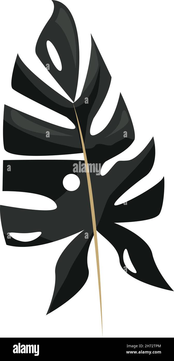 exotic tropical leave Stock Vector Image & Art - Alamy
