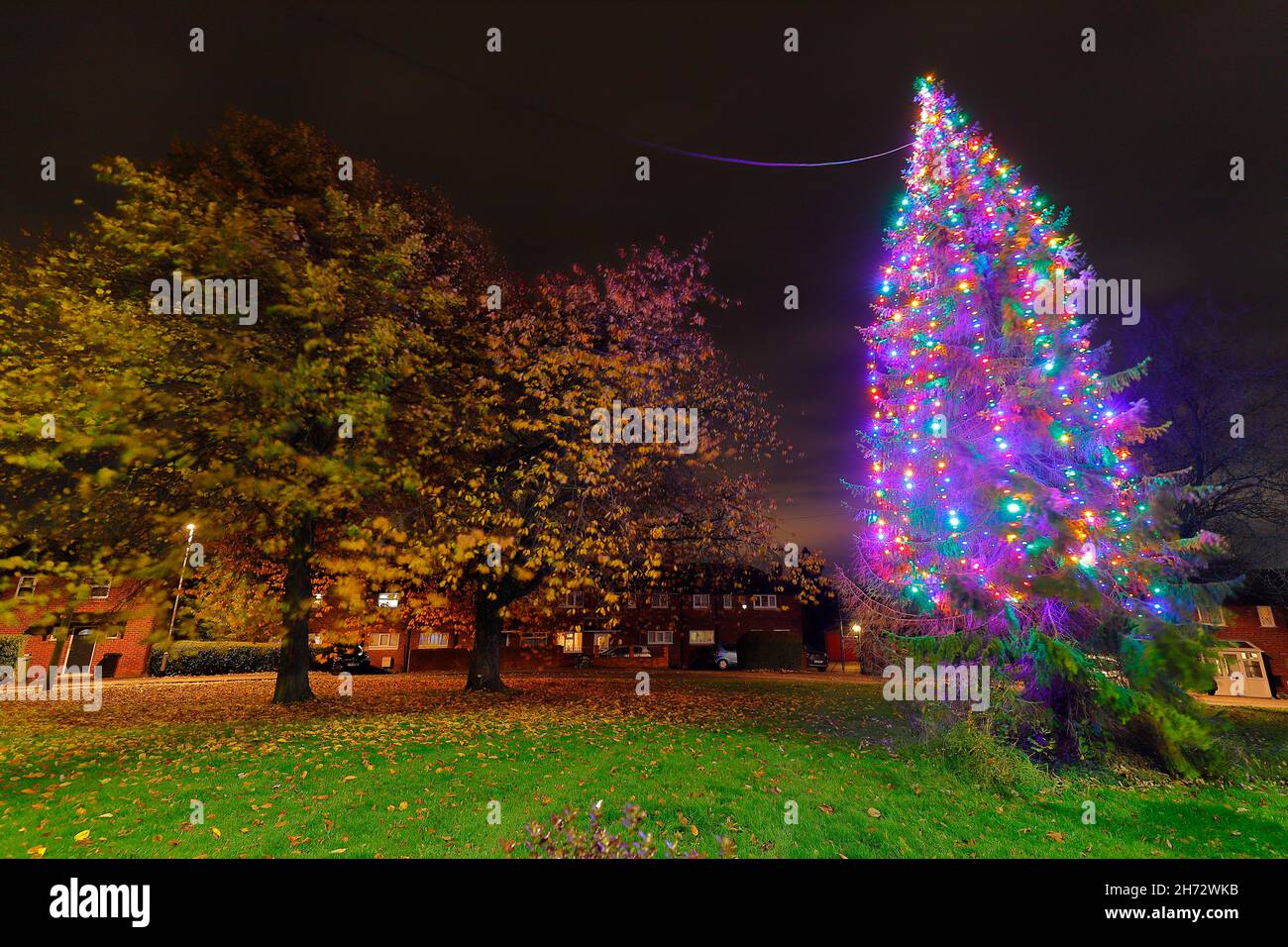 Christmas Tree in the East Leeds village of Swillington Stock Photo Alamy