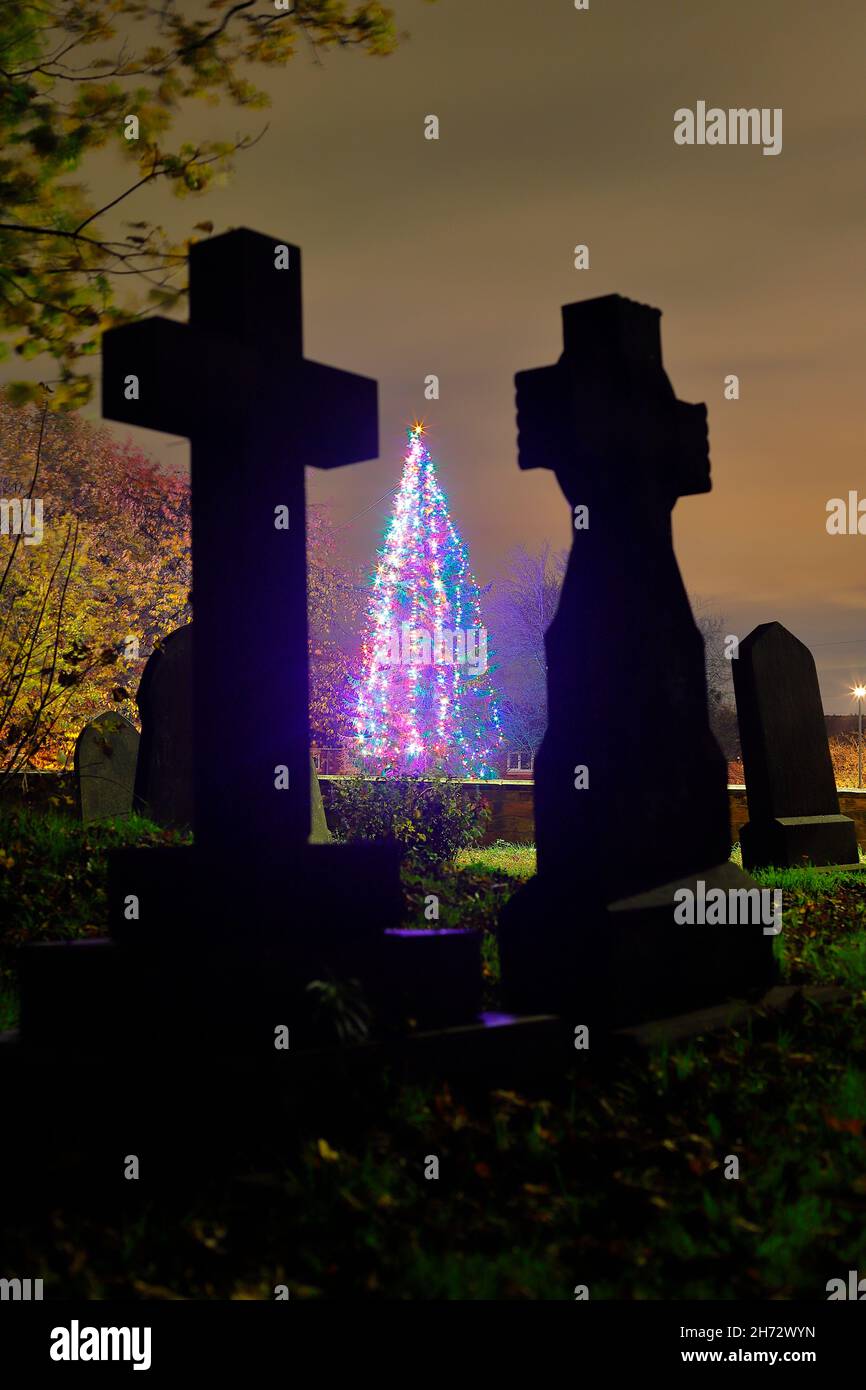 Christmas Tree in the East Leeds village of Swillington Stock Photo Alamy