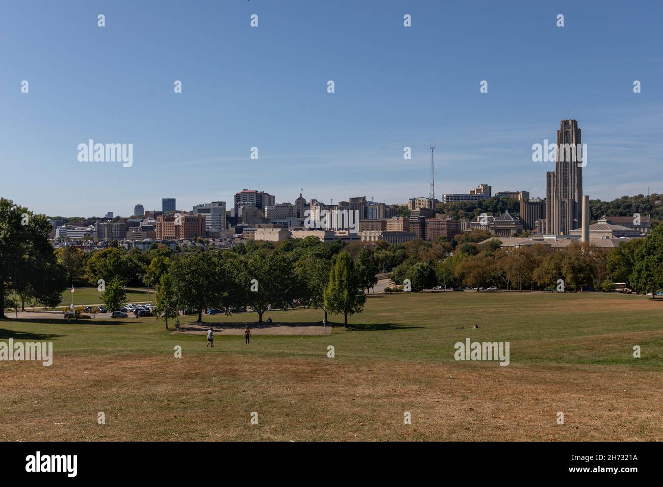 Skyline of Pittsburgh, Pennsylvania from Schenley Park Stock Photo Alamy