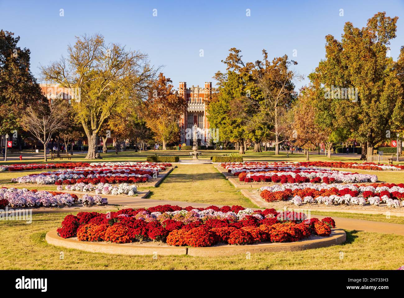Bizzell library hi-res stock photography and images - Alamy