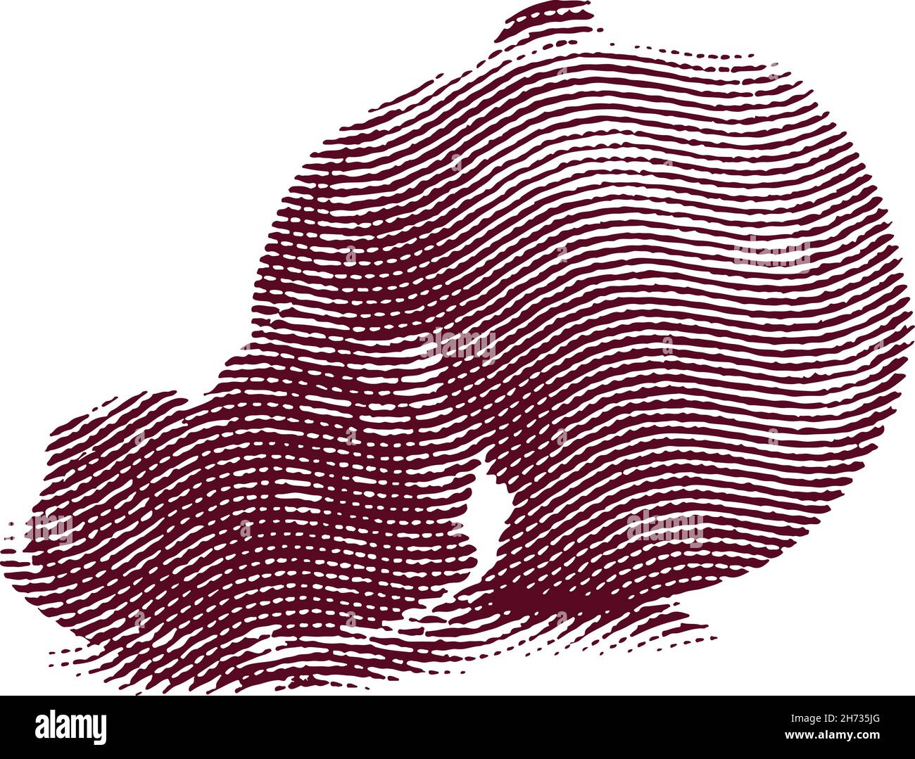 Engraved garnet fruit illustration concept Stock Vector
