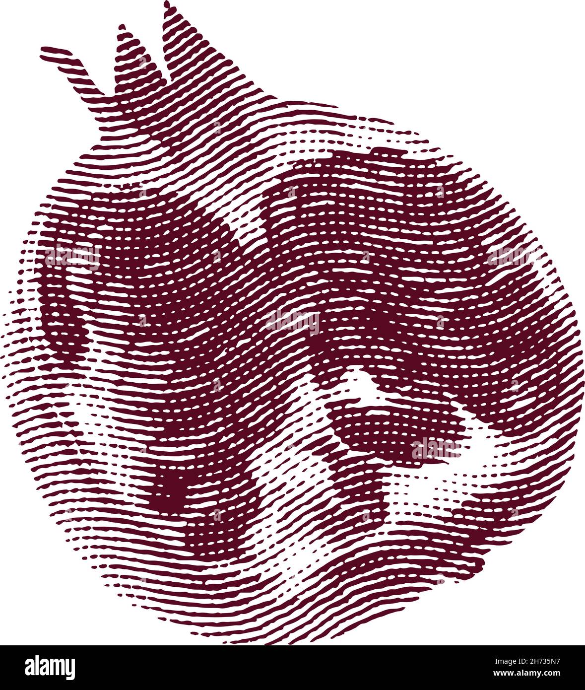 Engraved garnet fruit illustration concept Stock Vector