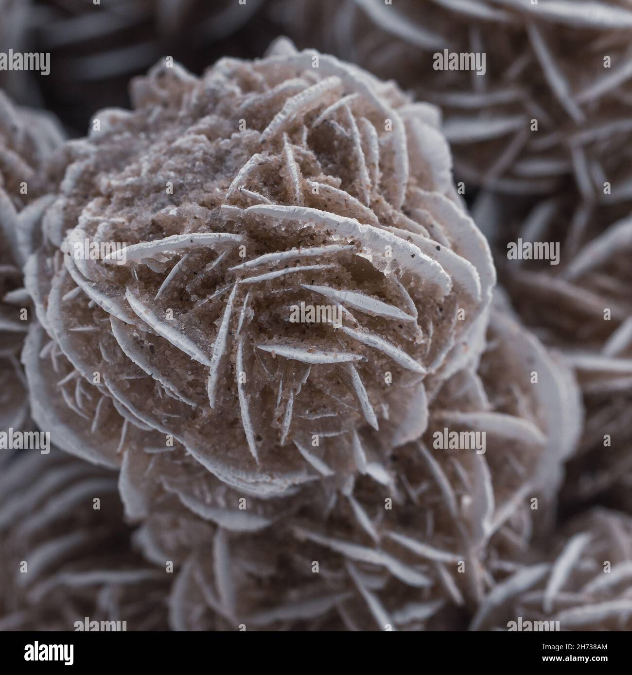 Stone material sample hi-res stock photography and images - Alamy