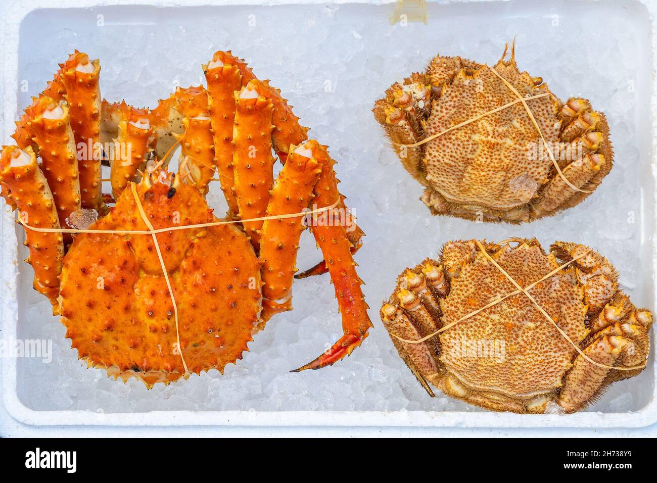 Red King Crab (Taraba crab) or Alaska King Crab at seafood market in Hakodate, Hokkaido Japan
