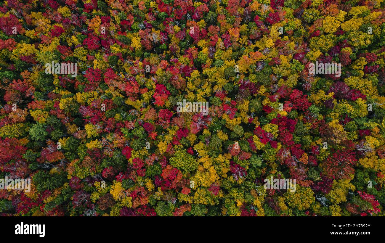 Aerial view beautiful dense hi-res stock photography and images - Alamy