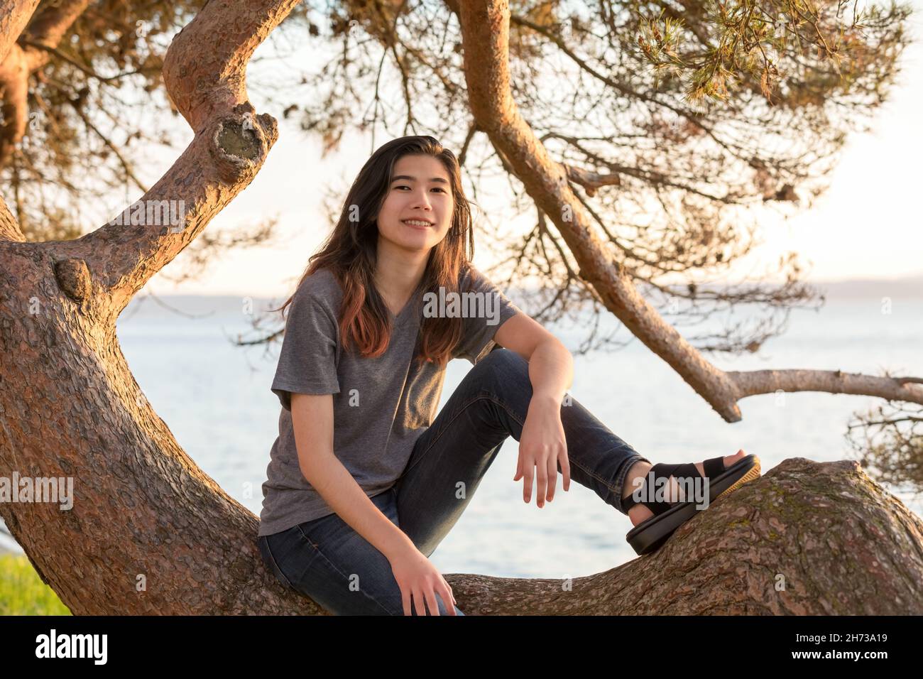 Biracial Asian teen girl sitting on large pine tree branch by lake at sunset Stock Photo