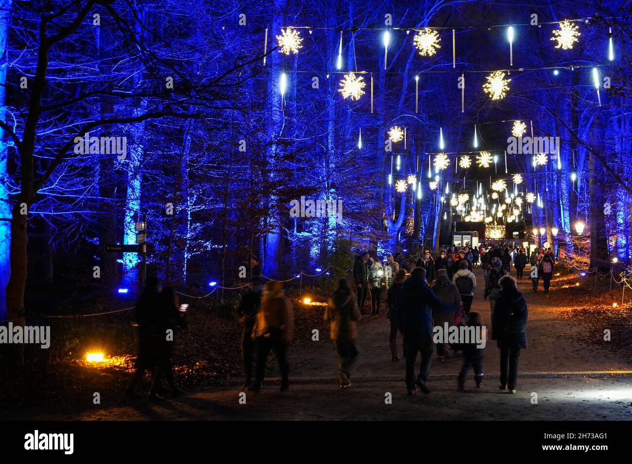 Botanical Garden Christmas 2022 Berlin, Nov. 19. 9Th Jan, 2022. Visitors Walk Past Illuminated Trees With  Light Decorations During The "Christmas Garden Berlin" Light Show At  Berlin-Dahlem Botanical Garden In Berlin, Capital Of Germany, Nov. 19,