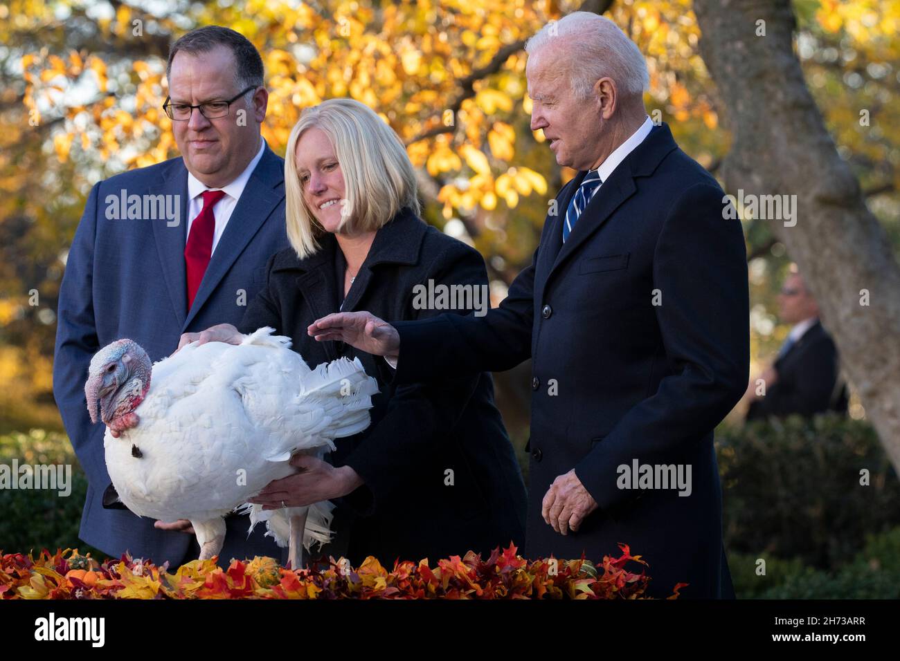 United States President Joe Biden (R) pardons the National Thanksgiving Turkey 'Peanut Butter' during the 74th National Thanksgiving Turkey presentation in the Rose Garden of the White House, beside chairman of the National Turkey Federation Phil Seger (L) and turkey-grower Adrea Welp (C) of Indiana, in Washington, DC, USA, 19 November 2021. The 2021 National Thanksgiving Turkey and its alternate, named 'Peanut Butter' and 'Jelly' respectively, were raised near Jasper, Indiana. The pardoning ceremony is an annual tradition held ahead of the Thanksgiving holiday. Credit: Michael Reynolds/Pool Stock Photo