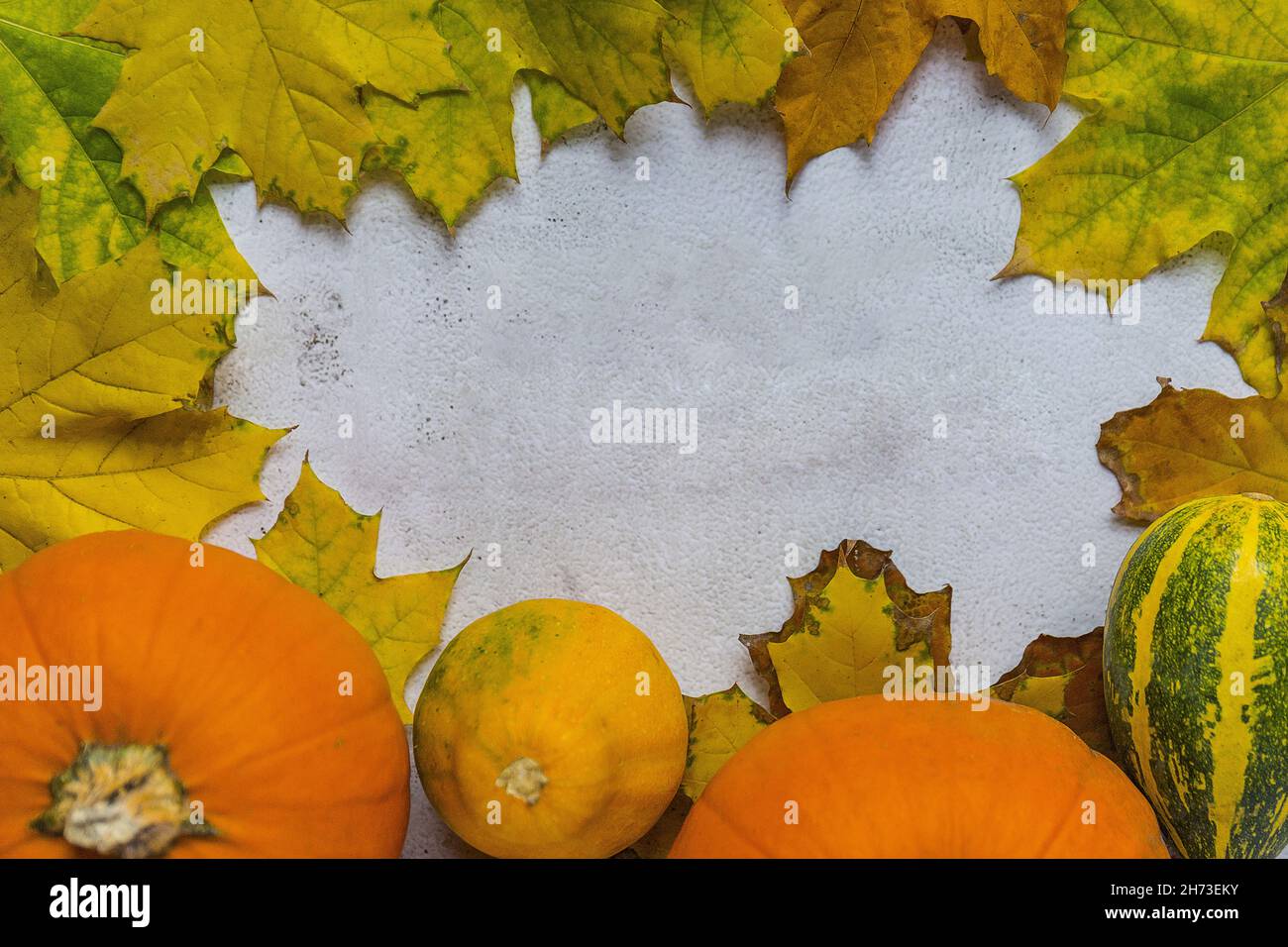 Creative autumn themed wallpaper with a frame of colorful leaves and