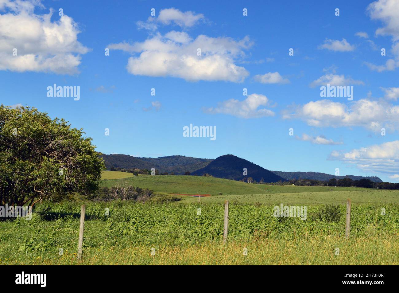 A view of countryside along the Waterfall Way between Dorrigo and Armidale in NSW, Australia Stock Photo