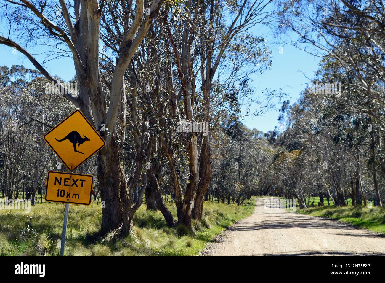 A dirt road in the New England National Park, NSW Stock Photo