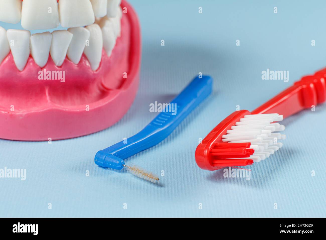 Close-up view of a toothbrush, an interdental brush and a human jaw ...