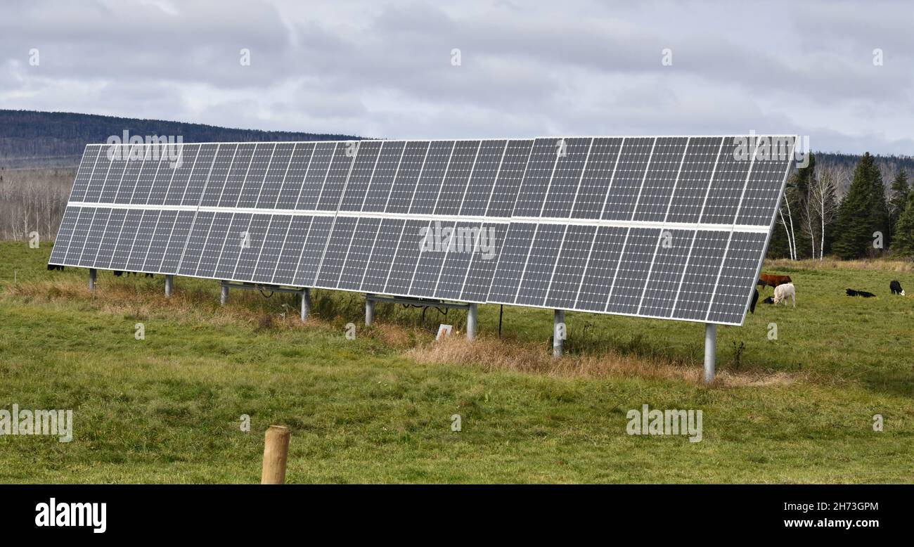 Solar panels facing south in a cow pasture on a cloudy day, near Thunder Bay, Ontario, Canada, North America. Stock Photo