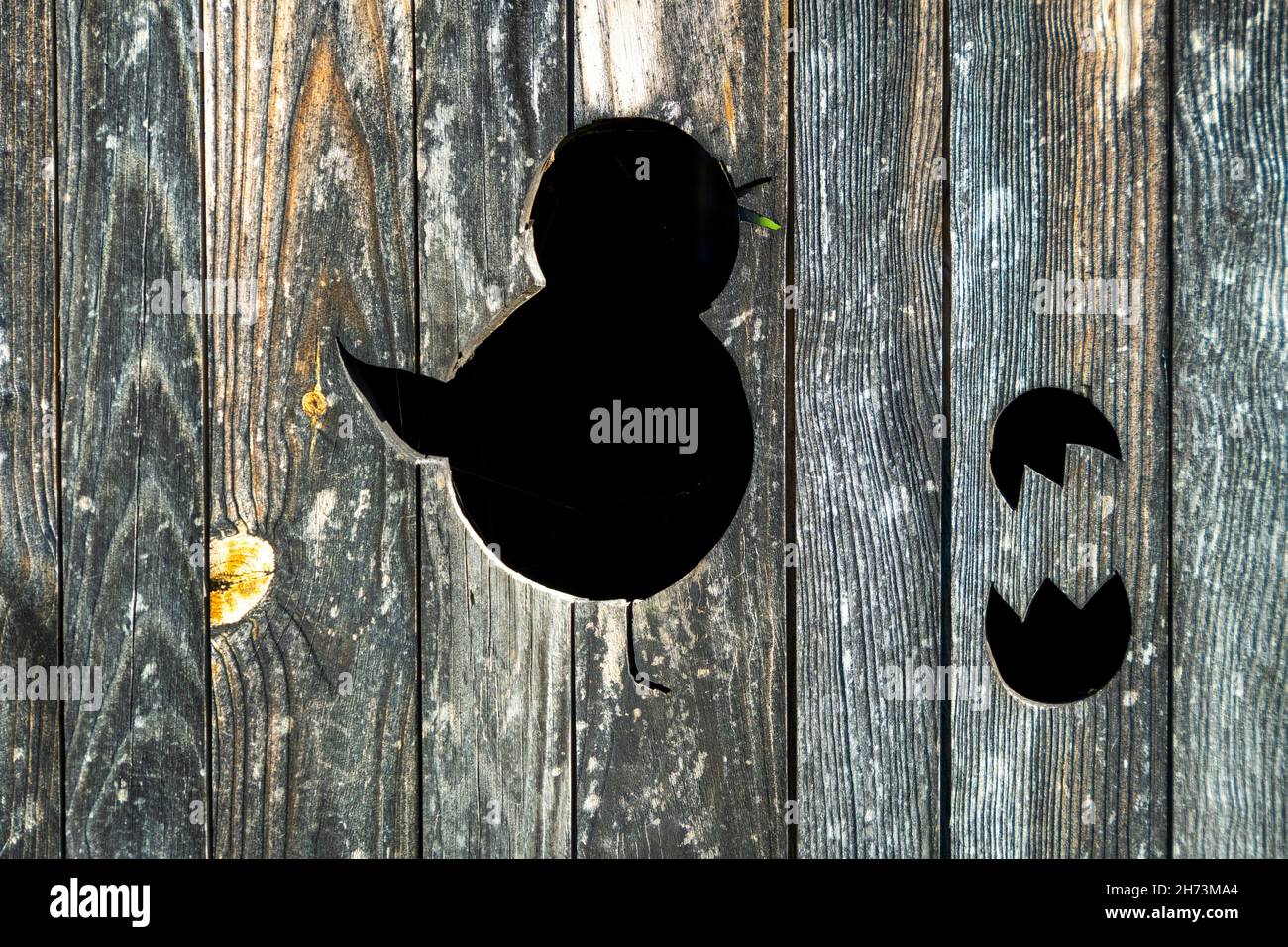 Chick (animal representation) on a wooden door. Auvergne Rhone Alpes. France Stock Photo