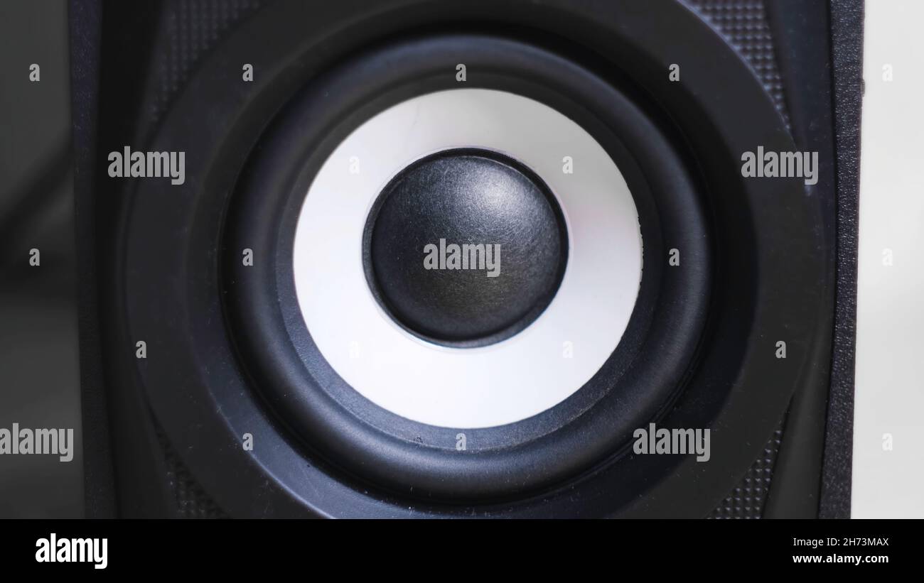 Speaker vibrates hotsell with bass