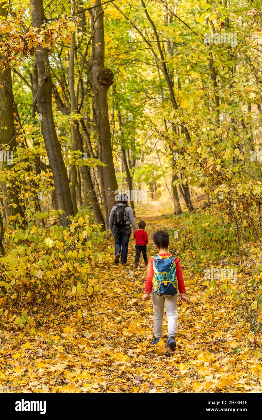 POZNAN, POLAND - Nov 01, 2021: A two boys and a woman walking on a footpath  next to trees with yellow leaves in the Podbialowa forest in autumn season  Stock Photo - Alamy