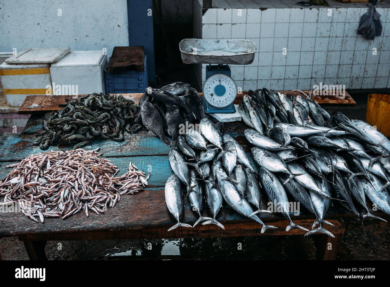Sea Fish Market in Asia. Street Market in Sri Lanka. Fresh Fish sales