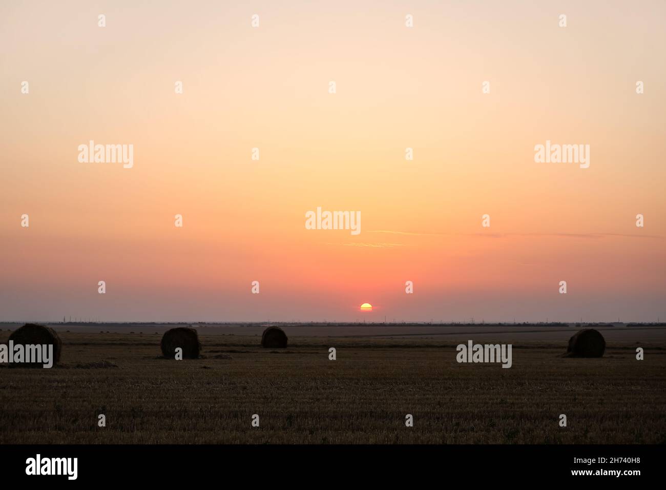 Harvested wheat field with hay bales Stock Photo - Alamy