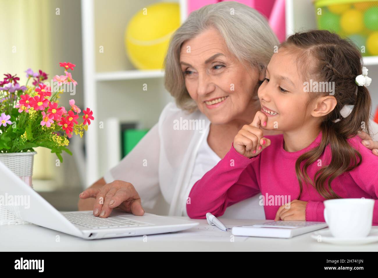 Portrait of happy grandmother and granddaughter using laptop Stock ...