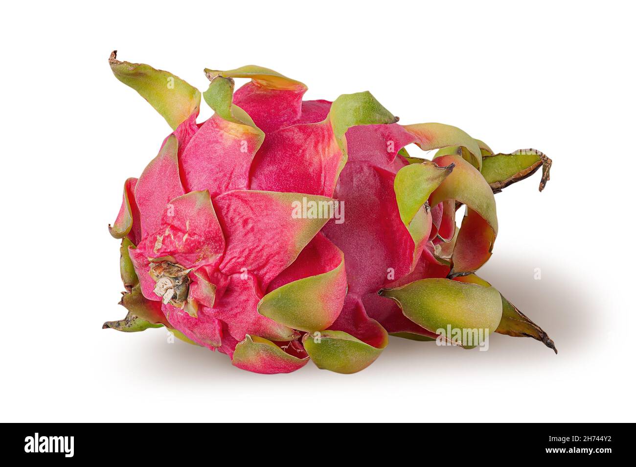 Dragon fruit horizontally rotated isolated on white background Stock Photo