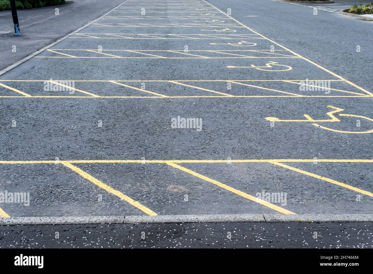 Numerous empty yellow marked disable vehicle parking spaces in a car park Stock Photo