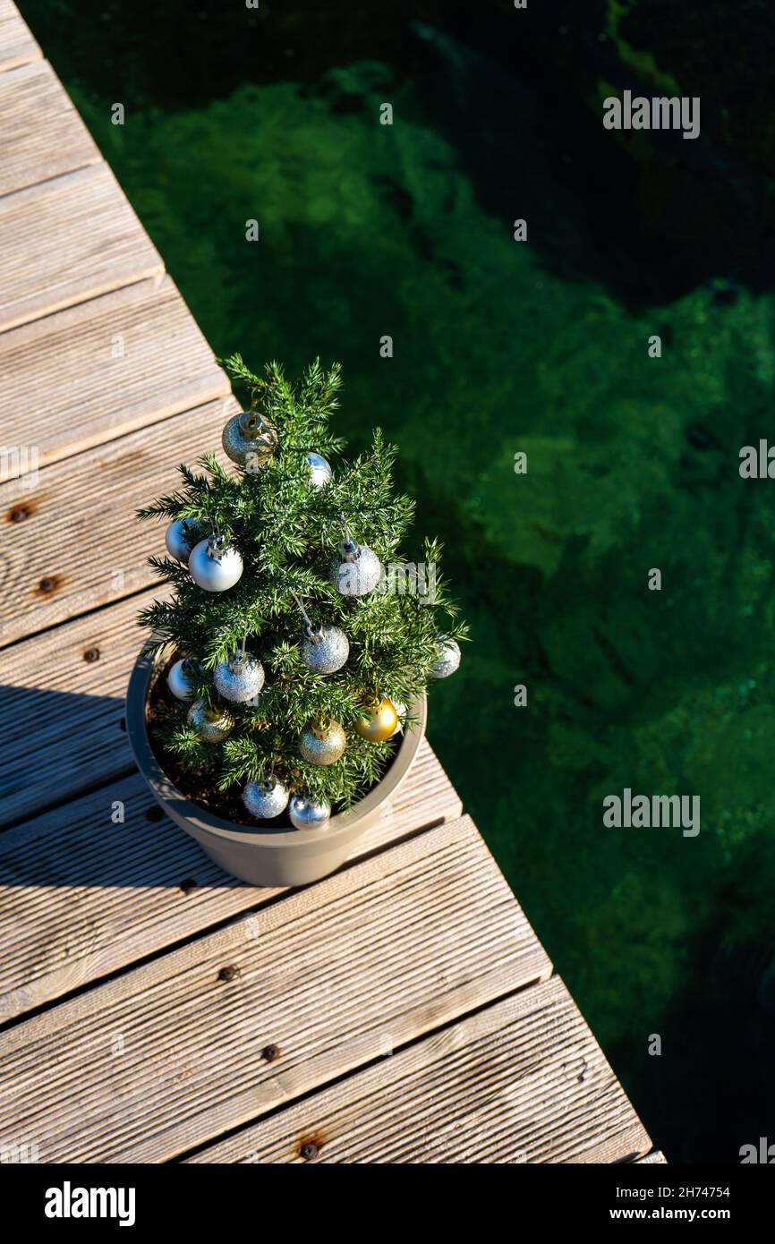 A small tree decorated with Christmas balls on the pier, top view. Vertical photo. Stock Photo