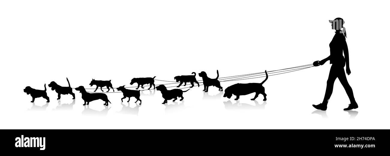 Silhouette of a young girl holding a large number of small dogs on a leash Stock Vector