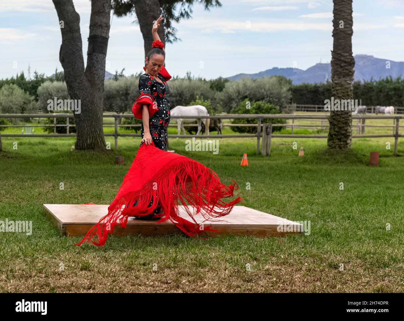 Female flamenco dancer hires stock photography and images Alamy