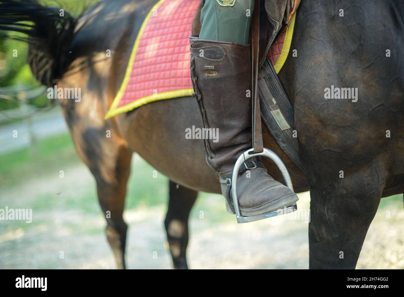 Closeup of equestrian wearing boots riding their horse Stock Photo Alamy