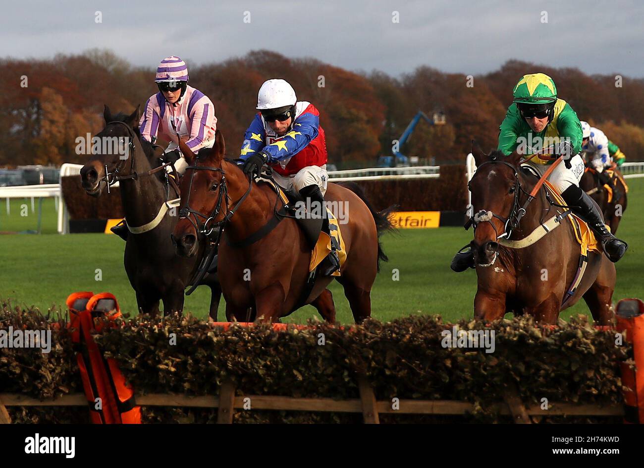 Dans le vent horse hires stock photography and images Alamy