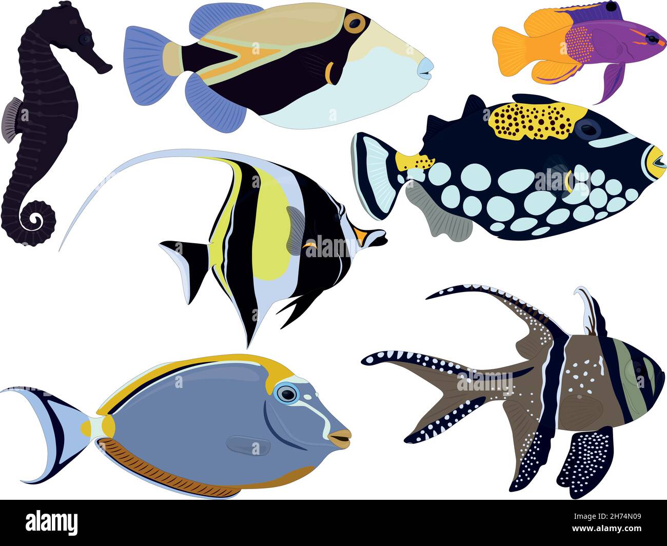 Aquarium tropical fish types seahorse, moorish idol, gramma collection vector illustration Stock Vector