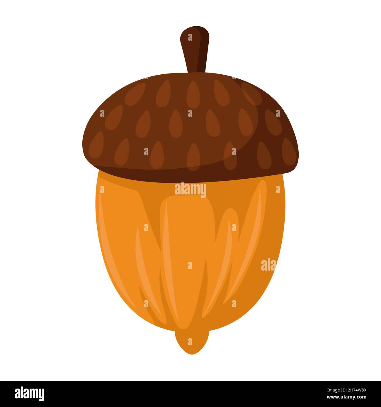 food nut acorn Stock Vector Image & Art Alamy