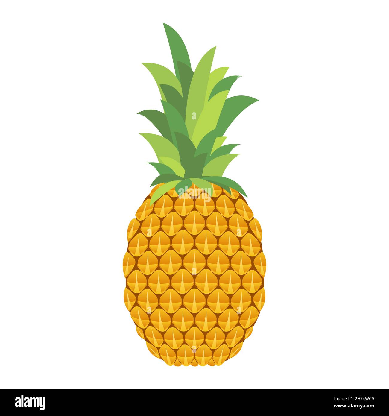 tropical fruit pineapple Stock Vector Image & Art - Alamy