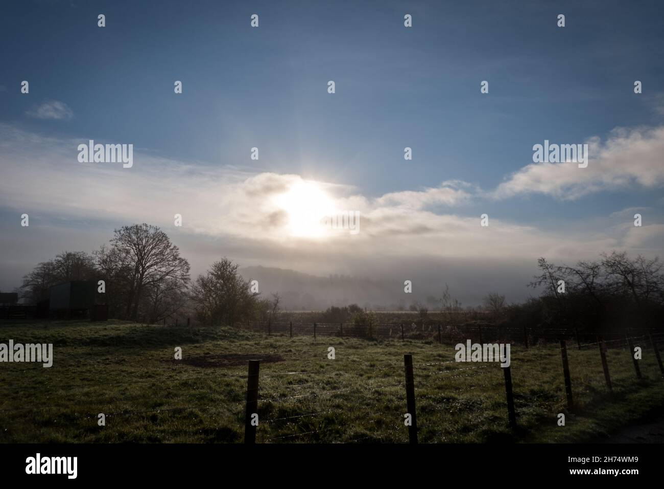 Misty morning in Aberfoyle Stock Photo