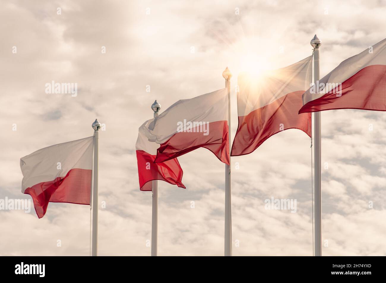 Polish national flags flutter in the wind on a cloudy sky background with sunrays Stock Photo