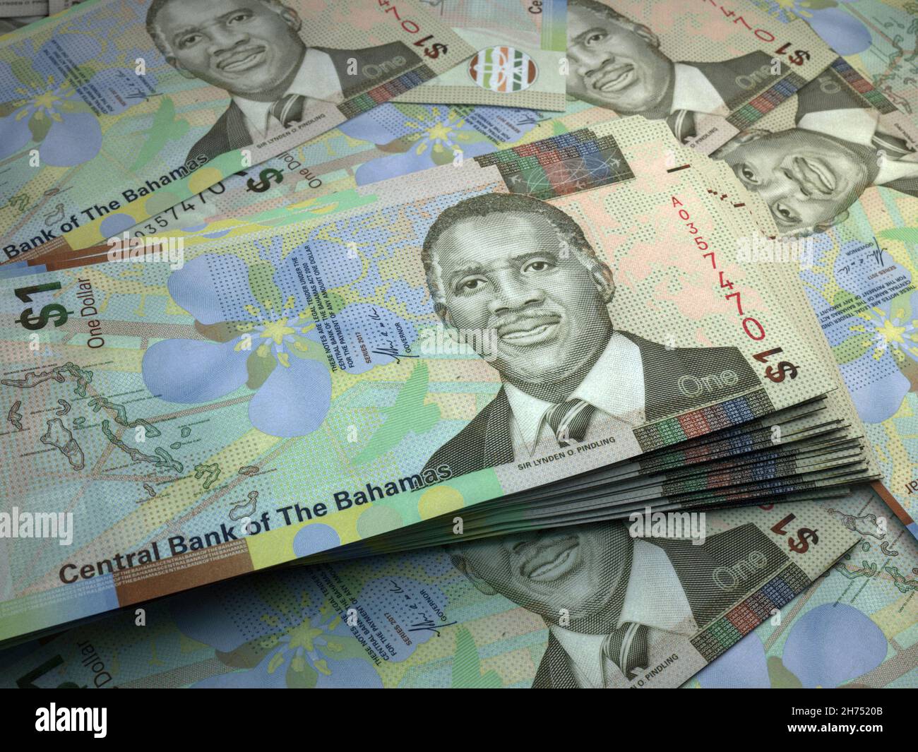 Money of Bahamas. Bahamas dollar bills. BSD banknotes. 20 dollars